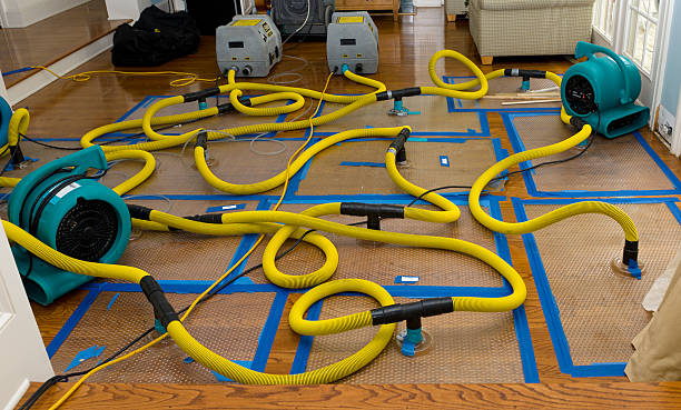 Professional Crawl Space Water Removal technician working in Louisville, OH